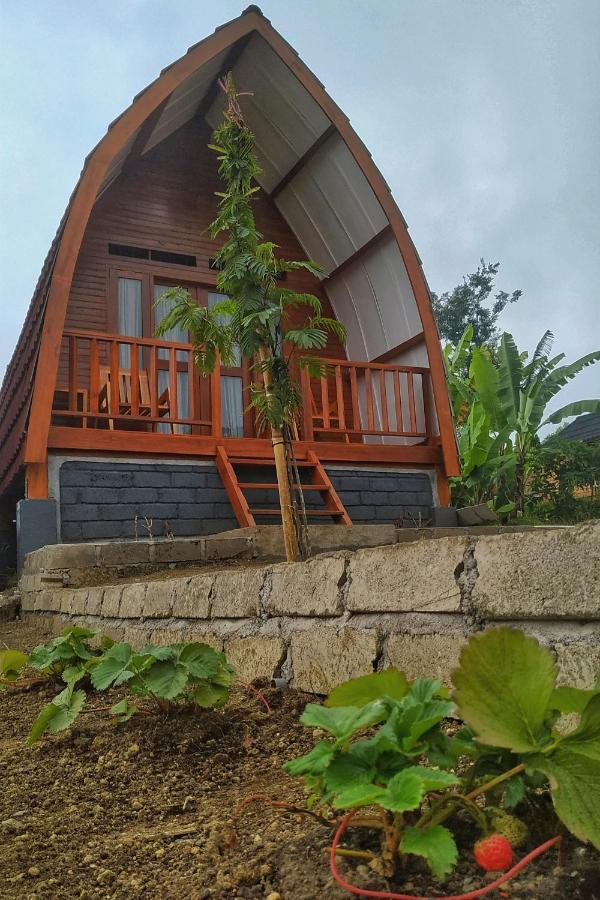 Family Rinjani Bungalow Sajang Екстер'єр фото