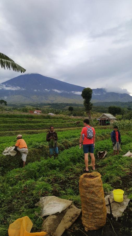 Family Rinjani Bungalow Sajang Екстер'єр фото