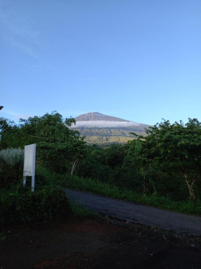 Family Rinjani Bungalow Sajang Екстер'єр фото
