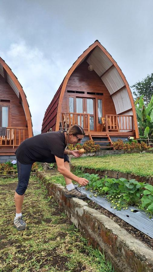 Family Rinjani Bungalow Sajang Екстер'єр фото
